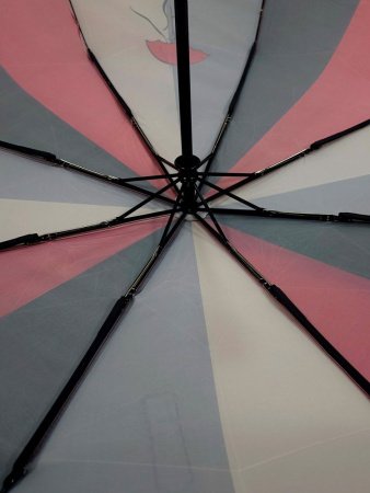 Зонт женский DINIYA арт.262 автомат 3 слож.23"(58 см)Х8К  радуга кошки