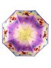 Зонт детский DINIYA арт.2631 полуавт 19"(48см)Х8К котенок