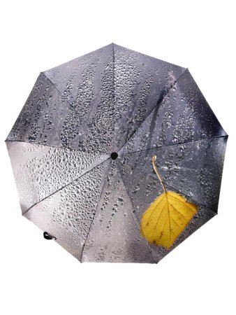 Зонт женский DINIYA арт.251 автомат 23"(58см)Х9К листья