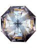 Зонт женский DINIYA арт.201 полуавт 23"(58см)Х8К трамв.
