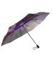 Зонт женский DINIYA арт.269 автомат 4 слож.21"(54 см)Х8К одуванчик
