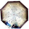 Зонт женский DINIYA арт.114 (2749) автомат 23"(58см)Х8К картина