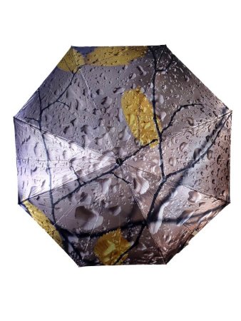 Зонт женский DINIYA арт.253 автомат 4 слож.21"(54 см)Х8К мини листья