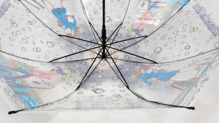 Зонт подростковый DINIYA арт.354 полуавт 20"(50см)Х8К