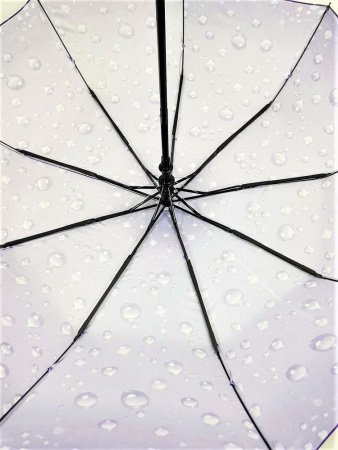 Зонт женский DINIYA арт.105 (2725) автомат 23"(58см)Х9К капли