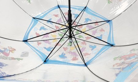 Зонт подростковый DINIYA арт.354 полуавт 20"(50см)Х8К