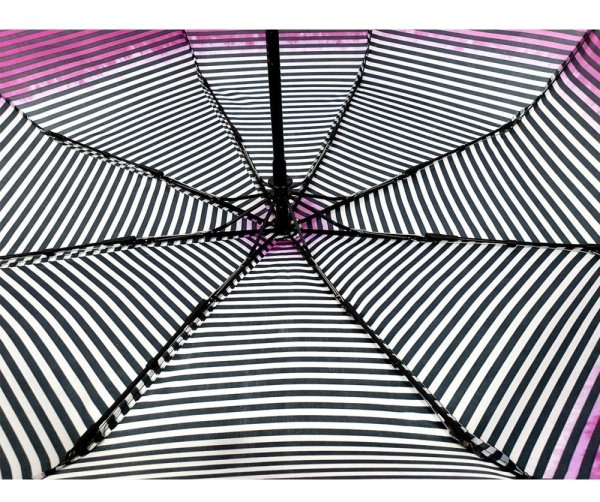 Зонт женский DINIYA арт.2733 автомат 21"(54см)Х8К.