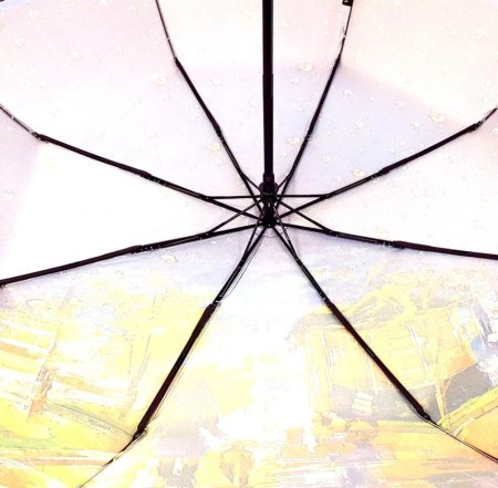 Зонт женский DINIYA арт.114 (2749) автомат 23"(58см)Х8К картина