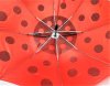 Зонт детский DINIYA арт.618 полуавт 17"(44см)Х8К