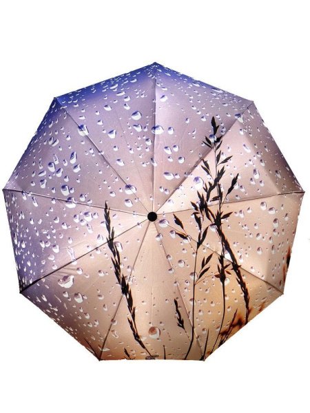 Зонт женский DINIYA арт.251 автомат 23"(58см)Х9К листья