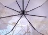 Зонт женский DINIYA арт.2235 полуавт 23"(58см)Х8К