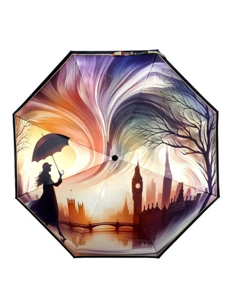 Зонт женский DINIYA арт.272 автомат 3 слож.23"(58 см)Х8К дев.город   