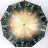 Зонт женский DINIYA арт.2268 автомат 23"(58см)Х9К