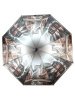 Зонт женский DINIYA арт.201 полуавт 23"(58см)Х8К трамв.