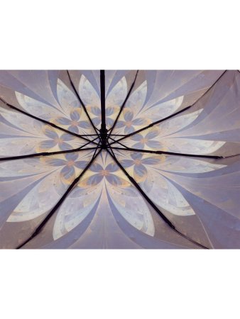 Зонт женский DINIYA арт.159 полуавт 23"(58см)Х8К листья/цветы 