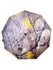 Зонт женский DINIYA арт.251 автомат 23"(58см)Х9К листья
