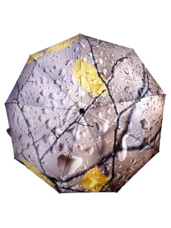 Зонт женский DINIYA арт.251 автомат 23"(58см)Х9К листья